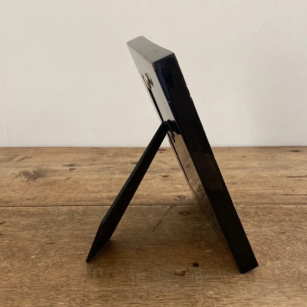 Z Gallerie Horn and Bone Picture Frame
